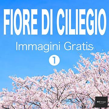 FIORE DI CILIEGIO Immagini Gratis 1  BEIZ images