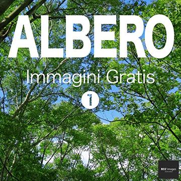 ALBERO Immagini Gratis 1  BEIZ images