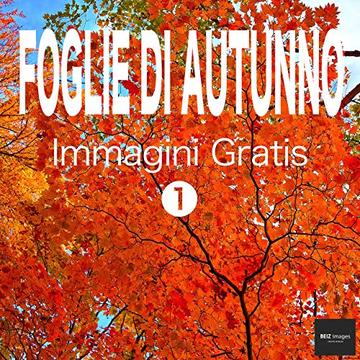 FOGLIE DI AUTUNNO Immagini Gratis 1  BEIZ images