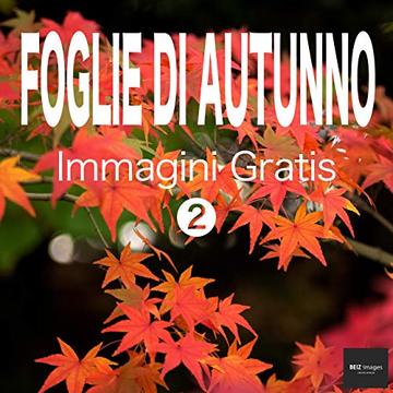 FOGLIE DI AUTUNNO Immagini Gratis 2  BEIZ images - Foto Gratis