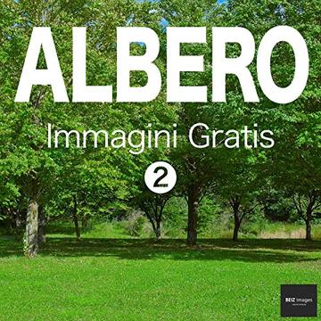 ALBERO Immagini Gratis 2  BEIZ images - Foto Gratis