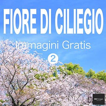 FIORE DI CILIEGIO Immagini Gratis 2  BEIZ images - Foto Gratis