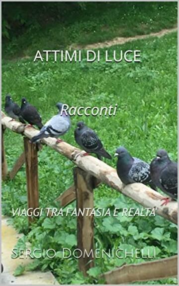 ATTIMI DI LUCE - RACCONTI: VIAGGI TRA FANTASIA E REALTA'