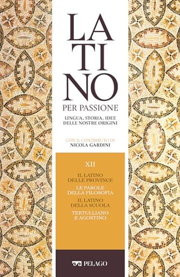 Il latino delle province. Le parole della filosofia. Il latino della scuola. Tertulliano e Agostino (Latino per passione)