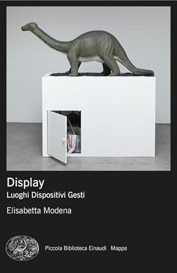 Display: Luoghi Dispositivi Gesti