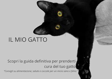 Il Mio Gatto: Scopri la guida definitiva per prenderti cura del tuo gatto “Consigli su alimentazione, salute e coccole per un micio sano e felice “