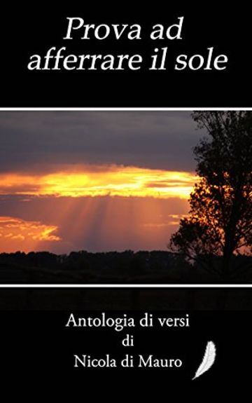 Prova ad afferrare il sole: Antologia di versi