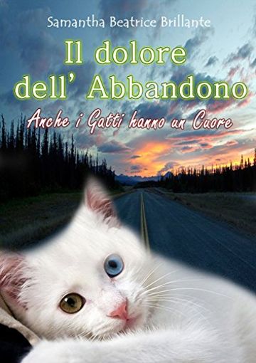 Il dolore dell'Abbandono ~ Anche i Gatti hanno un Cuore