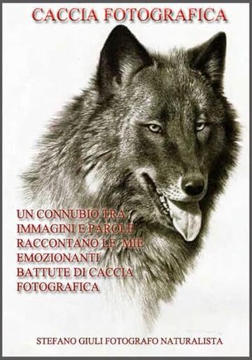 CACCIA FOTOGRAFICA - un connubio tra immagini e parole raccontano le mie emozionanti battute di caccia fotografica