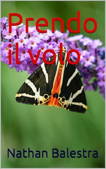 Prendo il volo
