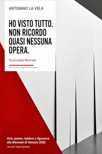 Ho visto tutto. Non ricordo quasi nessuna opera.: Pizzini dalla Biennale