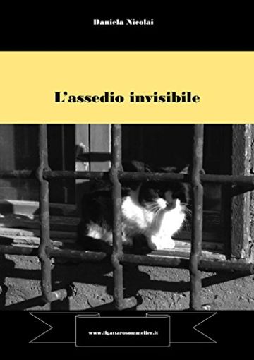 L'assedio invisibile