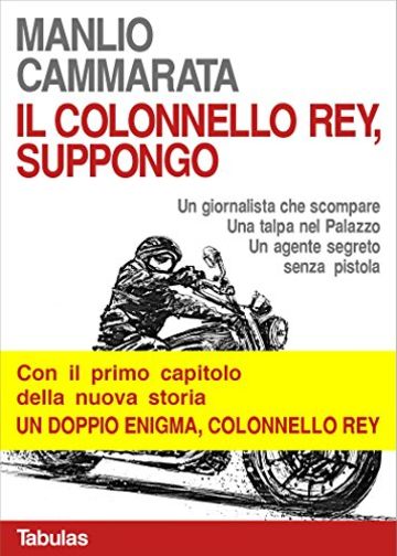 Il colonnello Rey, suppongo: Un giornalista che scompare. Una talpa nel palazzo. Un agente segreto senza pistola.