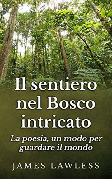 Il Sentiero Nel Bosco Intricato