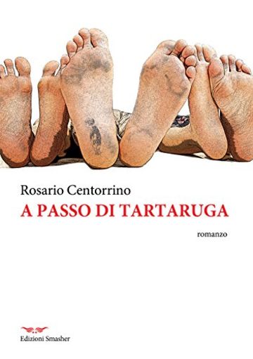 A passo di tartaruga (Narrativa - Orme di inchiostro)