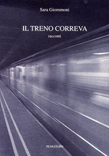 Il treno correva