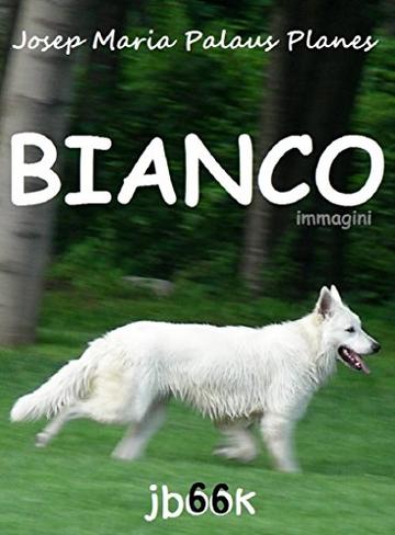 Bianco (immagini)