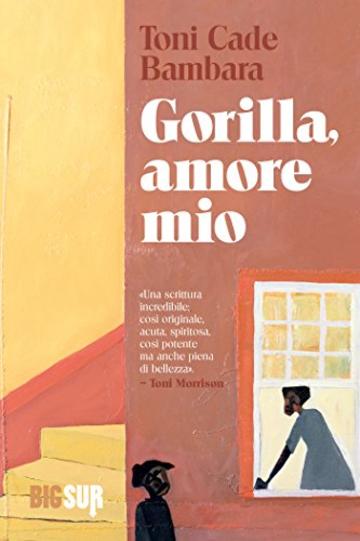 Gorilla, amore mio (BIGSUR)