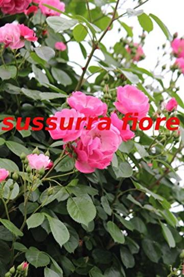 Sussurra il fiore