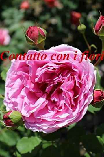 Contatto con i fiori