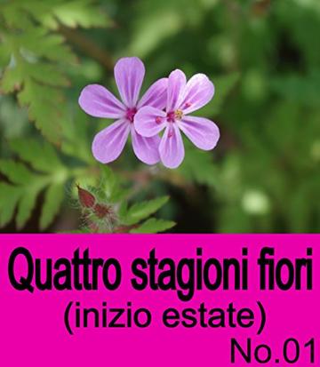 Quattro stagioni fiori (inizio estate) No.01