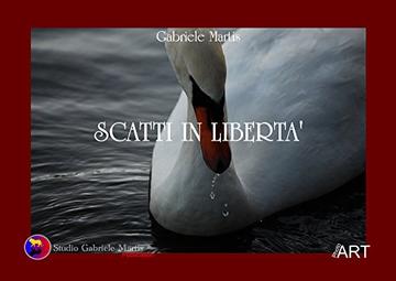 Scatti in Libertà