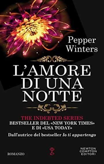 L'amore di una notte (The Indebted Series Vol. 7)