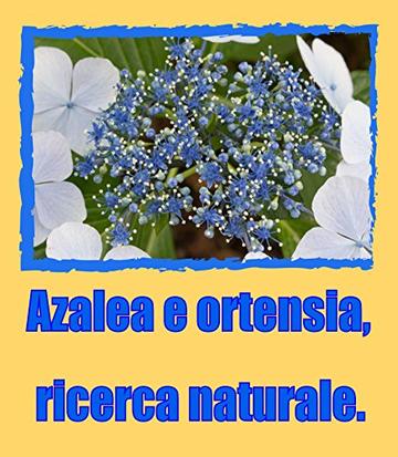 Azalea e ortensia, ricerca naturale.