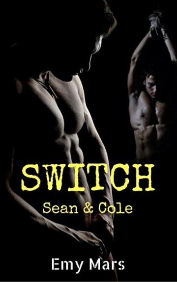 Switch: Sean & Cole (Dungeon Vol. 3)