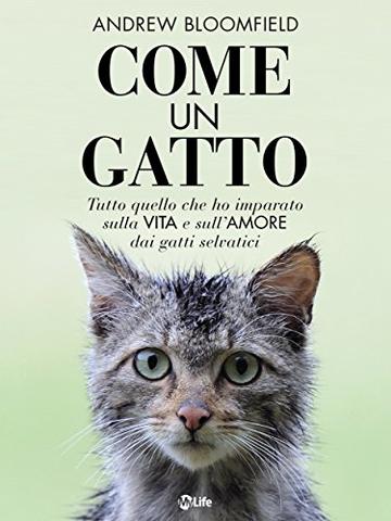 Come un Gatto: Tutto quello che ho imparato sulla vita e sull'amore dai gatti randagi