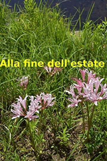 Alla fine dell'estate