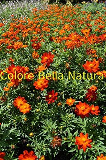 Colore Bella Natura