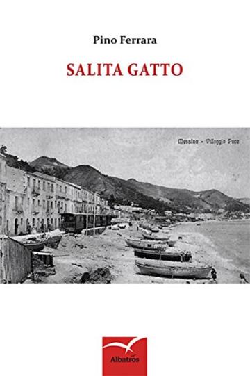 Salita Gatto