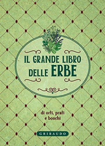 Il grande libro delle erbe: di orti, prati e boschi