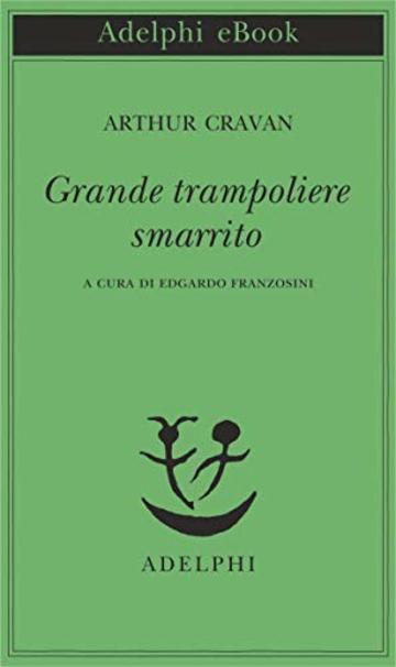 Grande trampoliere smarrito