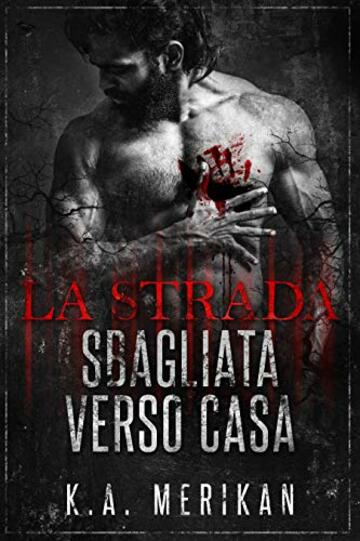 La strada sbagliata verso casa (gay romance)