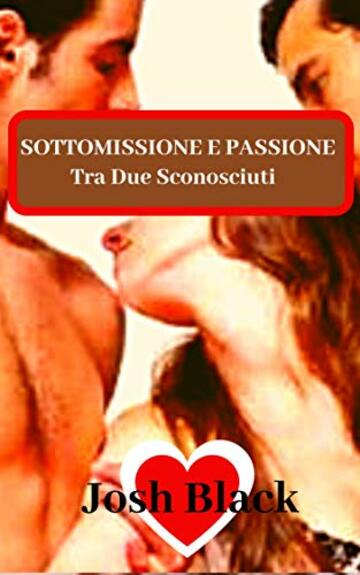 SOTTOMISSIONE E PASSIONE - Tra Due Sconosciuti -