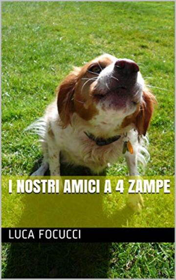 i nostri amici a 4 zampe